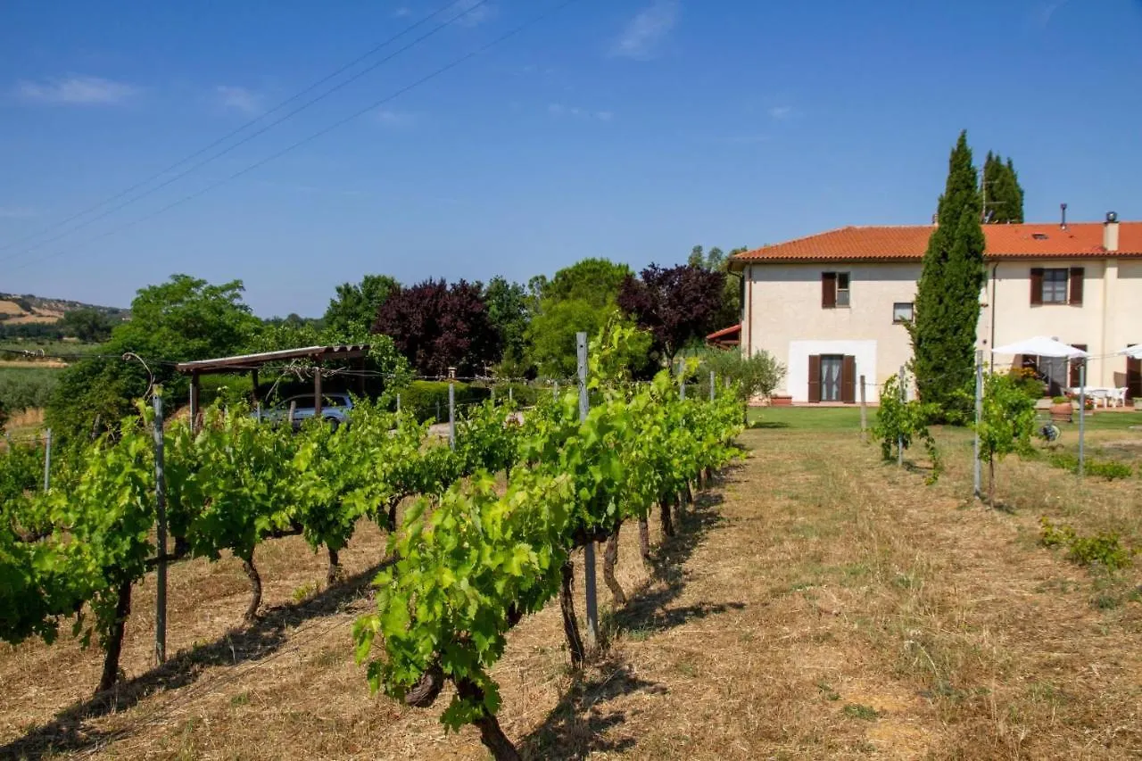 Agriturismo Il Poggiolo Grosseto Farm stay