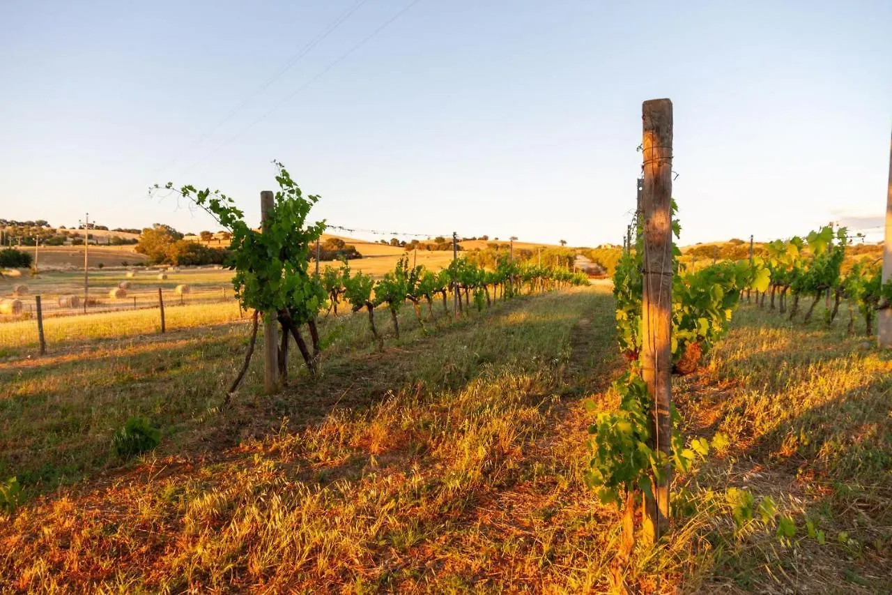 Farm stay Agriturismo Il Poggiolo Grosseto